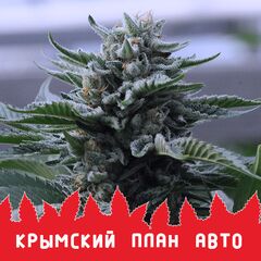 Крымский план Авто, Фасовка: 10